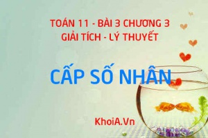 Cấp số nhân là gì? Công thức tính tổng cấp số nhân và công bội của cấp số nhân - Toán 11 bài 4